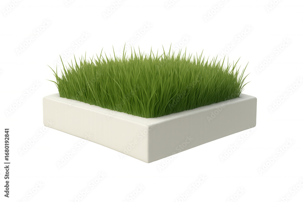 Poster green grass sprouting inside modern square planter, isolated on transparent surface - architectural 