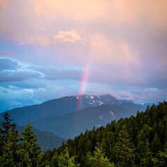 Rainbow Over Mountain Peak After Storm With Lush Forest Foreground.