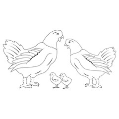 mother hen with her chicks icon