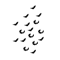 group of flying bats
