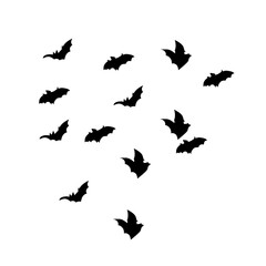 group of flying bats