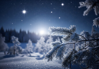 A frosty pine branch in the foreground against a starry night sky over a snow-covered forest winter stars