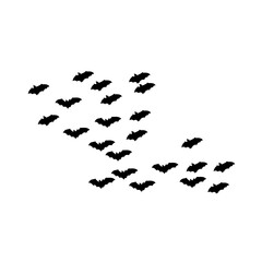 group of flying bats