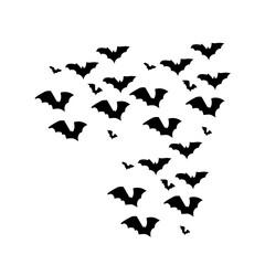 group of flying bats
