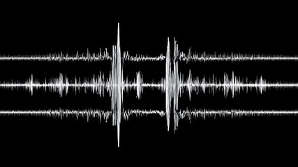 Detailed visualization of an audio waveform's frequency and amplitude.