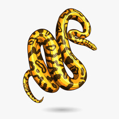 Fototapeta premium Realistic hand drawn snake background
