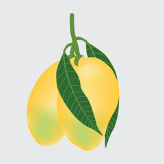 Juicy mango illustration with whole  fruit and label isolated on background