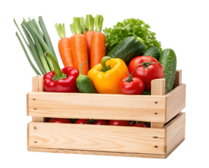 Freshly harvested organic vegetables like tomatoes, cucumbers, and peppers in a wooden basket