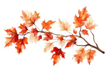 Watercolor Autumn Branch with Maple Leaves