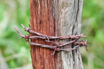 Rusted barbed wire wrapped around a weathered wooden post