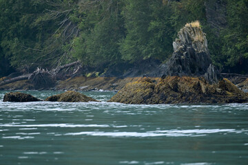Seaside landscape in Alaska's Resurrection Bay near Seward.