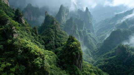 Obraz premium A mesmerizing view of a lush, vibrant mountain range, shrouded in mist