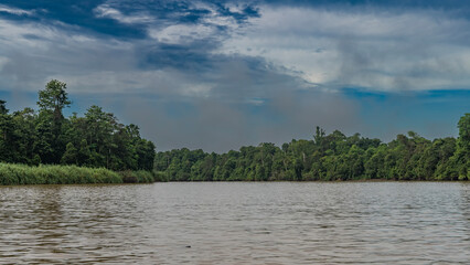 A calm tropical river. Ripples in the water. There are thickets of rain forest trees and tall grass on the banks. Blue sky, clouds. Malaysia. Borneo. Kinabatangan River.
