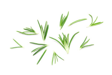 Leaves of fresh rosemary isolated on white background, closeup