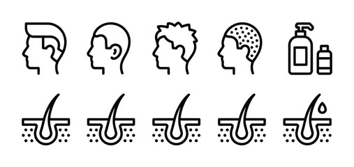 Hair loss stages and treatment options depicted in a minimalist line icon set vector design
