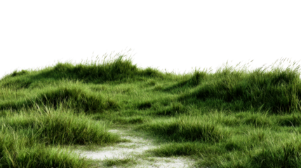 Rolling green grass dunes with sandy path on a white background, cut out transparent