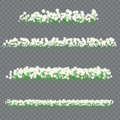 Seamless daisy border with transparent background. Elegant white flowers design for textiles, packaging, wallpapers, web, invitations, and decorative projects.