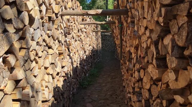 Woodpile corridor showcases stacked logs on either side, leading to a lush green area, creating a natural pathway through the timbered landscape with vibrant textures and warm sunlight
