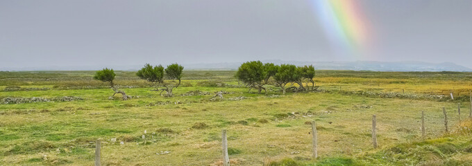 Normandy in France, the cap de la Hague, beautiful landscape, moors near the sea
