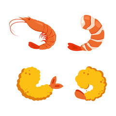 Fresh shrimp vector set with peeled, whole, and fried tempura seafood illustration for restaurant menu, culinary design, seafood market, Asian food, sushi, and cooking icon collection