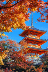 Obraz premium Scenic view of Kiyomizu-dera temple with beautiful foliage in autumn in Kyoto, Japan