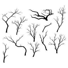 Leafless tree silhouettes collection with bare winter branches, Transparent Background