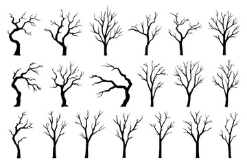 Leafless tree silhouettes collection with bare winter branches, Transparent Background