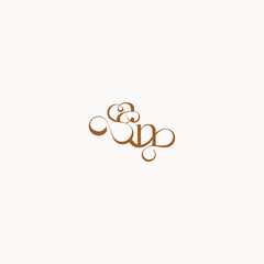 caligraphic style monogram luxury minimalist logo design NA wedding initial concept letter