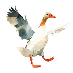 Watercolor Style Goose with Outstretched Wings and Orange Beak
