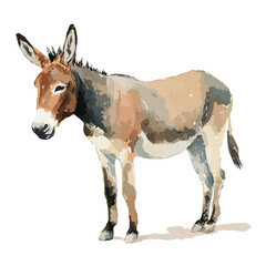 Watercolor Style Illustration of a Brown and Gray Donkey Standing Calmly