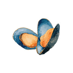Watercolor Style Illustration of Two Open Blue Mussels with Orange Meats