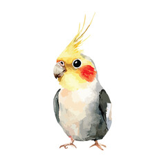 Watercolor Style Nymph Cockatiel Portrait Yellow Crest Red Cheek Patches