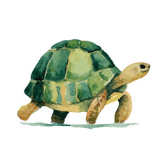 Watercolor Tortoise Walking with Detailed Green and Yellow Shell