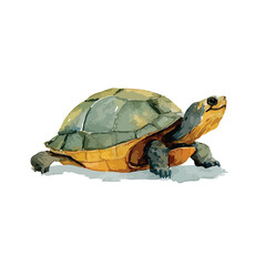 Watercolor Turtle with Green and Yellow Shell Looking Upward with Curiosity