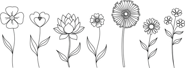 Minimal hand-drawn flower line art set with daisy lotus dandelion wildflower botanical illustrations for tattoo boho and decorative designs © PixelsWorld