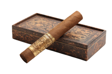 Vintage Cigar with Ornate Brass Band on Decorative Tobacco Case