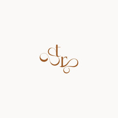 caligraphic style monogram luxury minimalist logo design RT wedding initial concept letter