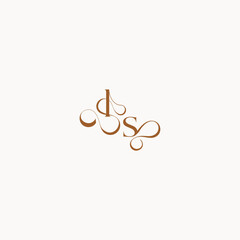 caligraphic style monogram luxury minimalist logo design SL wedding initial concept letter