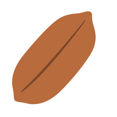 Brown cocoa bean isolated on white, symbol of chocolate production, tropical agriculture, organic farming, and natural food ingredient.
