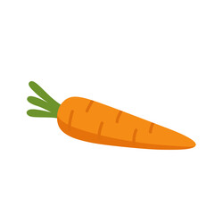 Single fresh carrot with green top, isolated orange root vegetable, ideal for diet, salads, soups, and healthy cooking.
