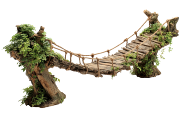 Rustic Tree Footbridge with Vines on Transparent Background