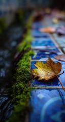 Autumn leaf on a tiled ledge by a stream