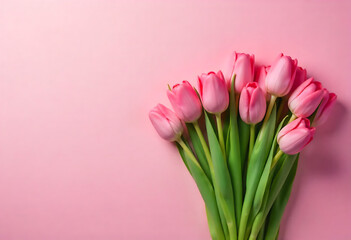 Fototapeta premium pink tulips on a green background
