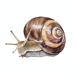 Detailed Watercolor Illustration of a Brown Snail with Antennae Extended