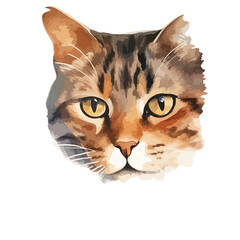 Detailed Watercolor Portrait of a Tabby Cats Face with Focused Eyes