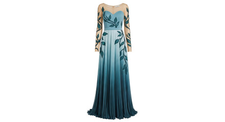 Isolated Elegant Evening Gown