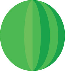 Vibrant green round watermelon illustration vector graphic fresh fruit produce healthy summer diet food