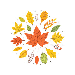 Fototapeta premium A vibrant circular arrangement of various autumn leaves in shades of yellow, orange, and green.