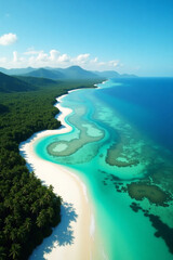 Aerial View of Tropical Beach with Lush Green Forest