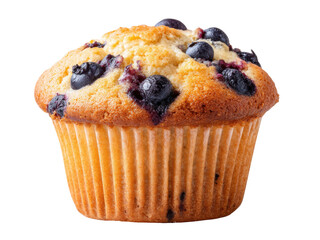 Delicious Blueberry Muffin Isolated on Black